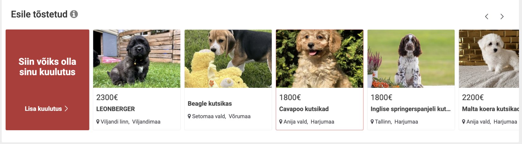 Esile tõstetud kuulutused SOOV.ee esilehel